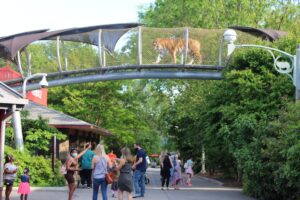 Wild Wonders in the City of Brotherly Love: Exploring the Philadelphia Zoo - Photo Source